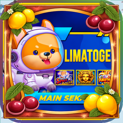 limatogel — mitra unggulan